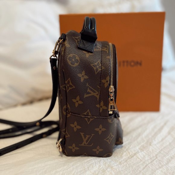 Louis Vuitton Palm Springs Mini Monogram - Picture 2 of 4